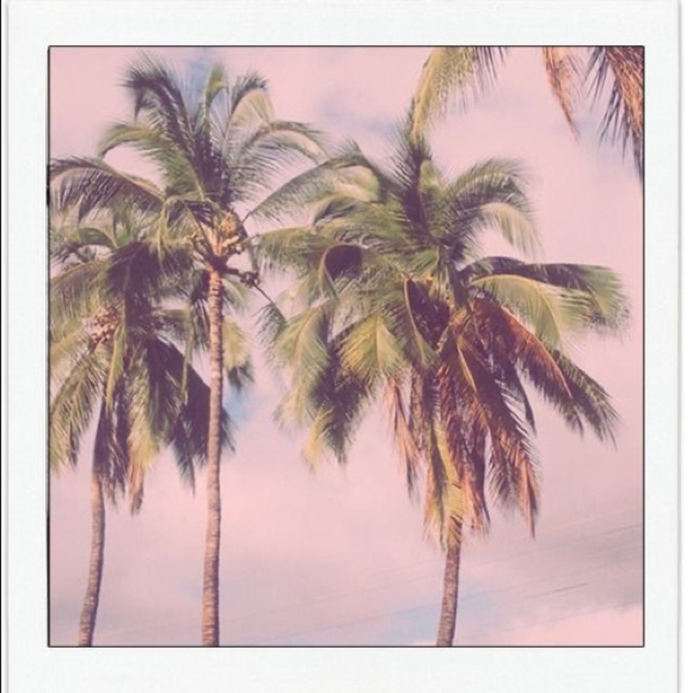 Meet your Posher, Ash